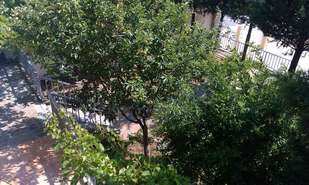 Отель Mkudro Hotel Тбилиси-12
